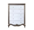 ACME Esteban Chest in Antique Champagne 22206