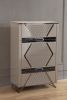 Wendy Mirror Framed Chest made with Wood in Gray