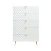 ACME Gaines Chest, White High Gloss Finish BD01038